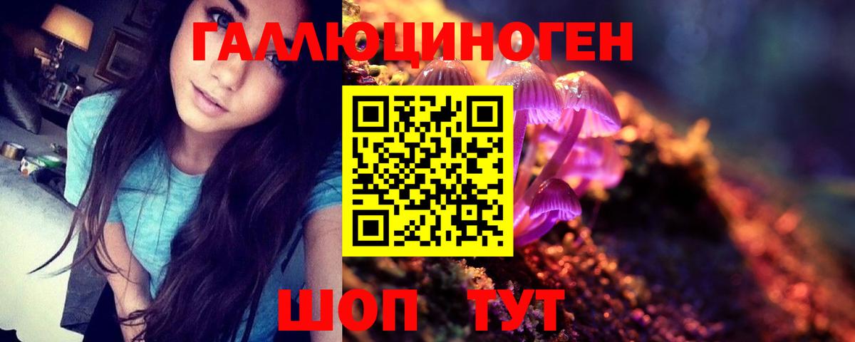 Моршанск  Галлюциногенные грибы Magic Shrooms  где можно купить   Псилоцибиновые грибы Psilocybe  Вход с VPN 