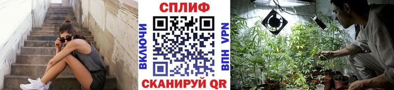 Бошки марихуана сатива Моршанск